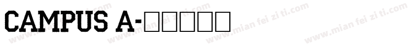 Campus A字体转换